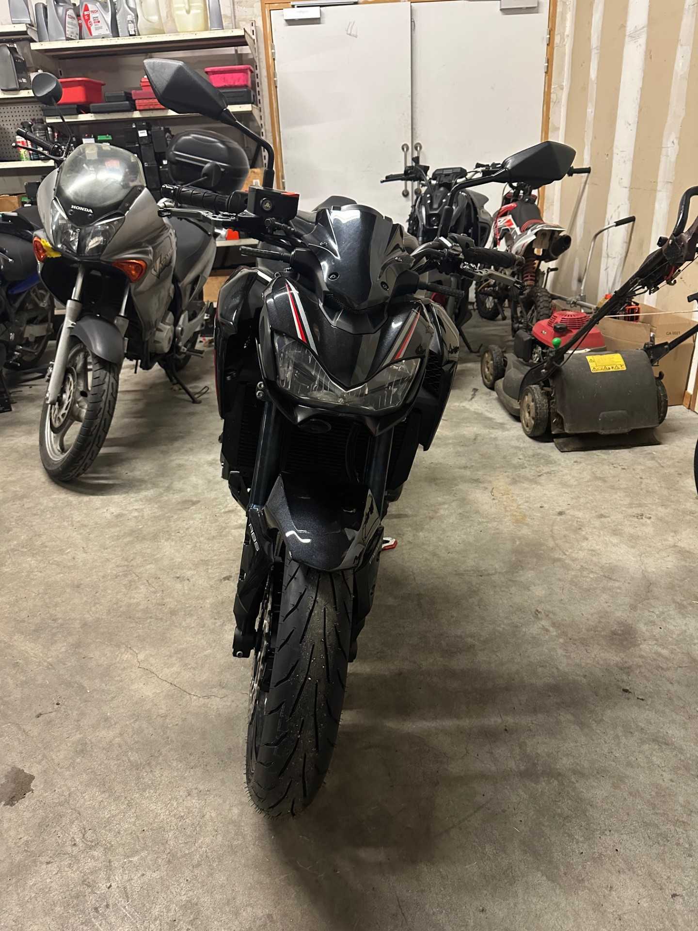 Kawasaki Z 900 2019 HD vue avant