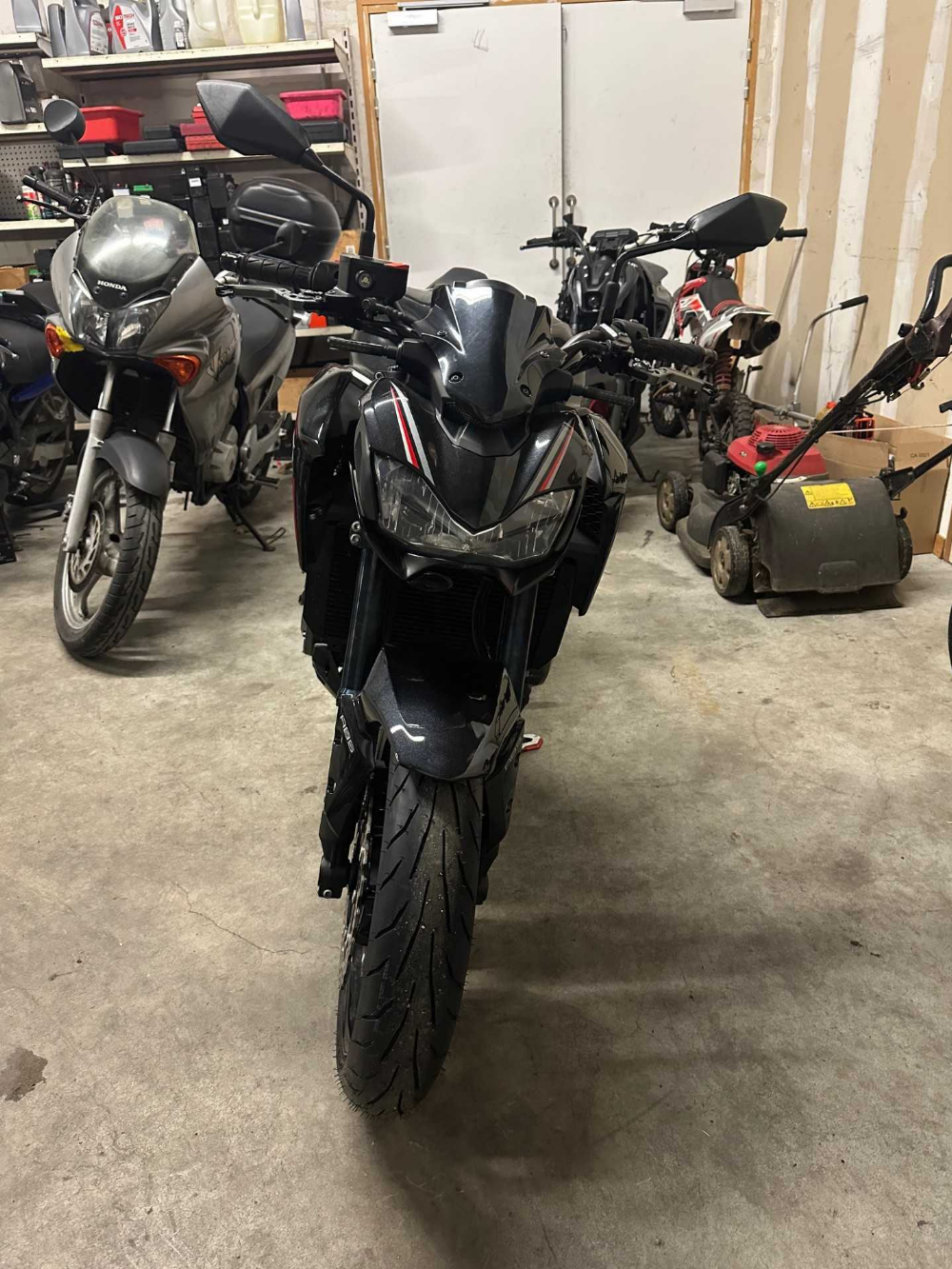 Kawasaki Z 900 2019 vue avant