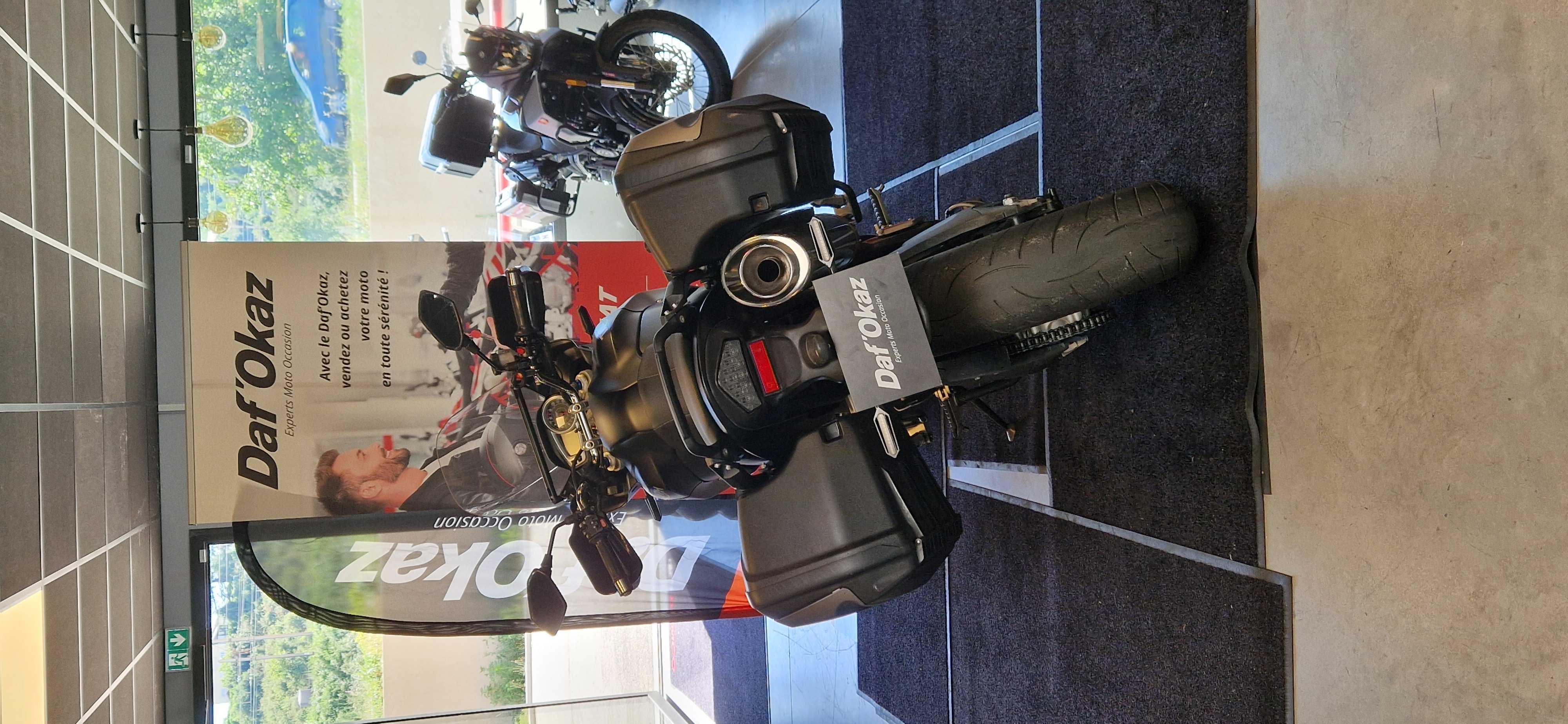 Triumph 1050 Tiger SE 2010 HD vue arrière