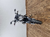 Aperçu Suzuki SV 650 N 2006 vue avant