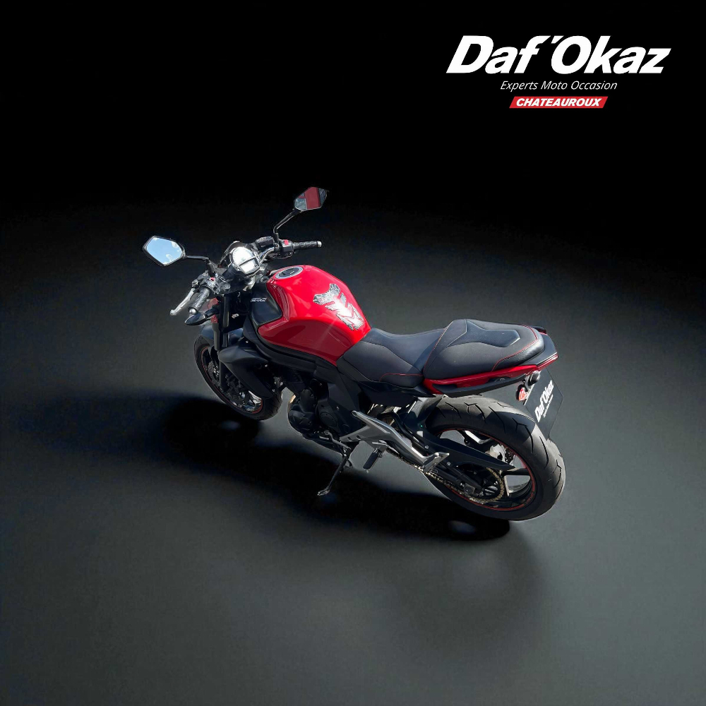 Kawasaki ER-6 N 2013 vue gauche