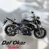 Aperçu Kawasaki ER-6 N 2010 vue avant