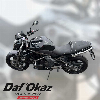 Aperçu Kawasaki ER-6 N 2010 vue arrière