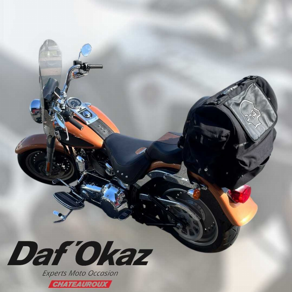 Harley-Davidson FAT BOY FLSTF 2008 vue gauche