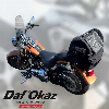 Aperçu Harley-Davidson FAT BOY FLSTF 2008 vue gauche