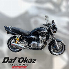 Aperçu Yamaha XJR 1300 2002 vue avant
