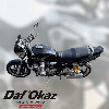 Aperçu Yamaha XJR 1300 2002 vue arrière