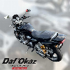 Aperçu Yamaha XJR 1300 2002 vue gauche