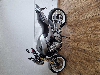 Aperçu Honda CB 600 F Hornet 2005 vue gauche