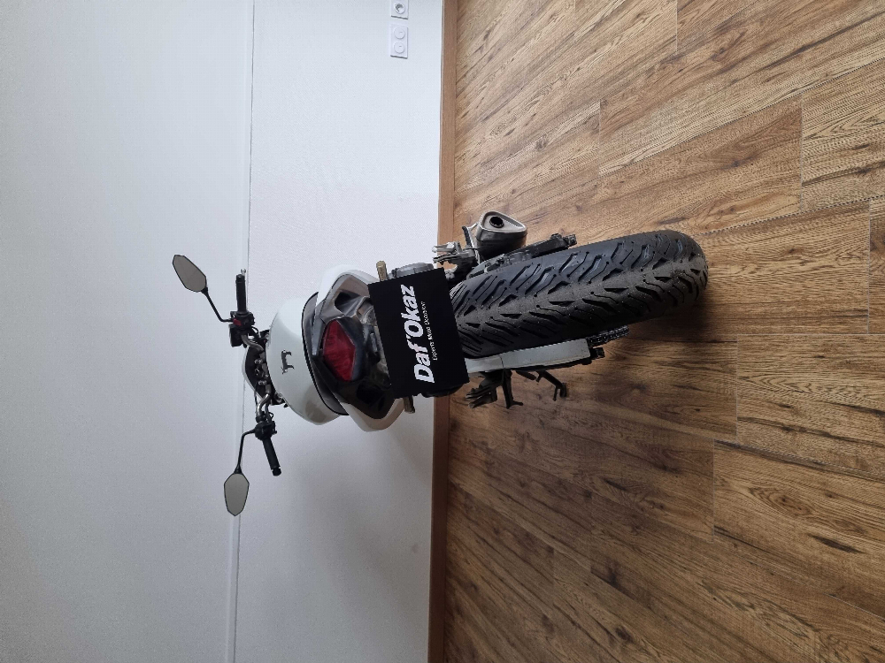 Honda CB 600 F Hornet 2011 vue arrière