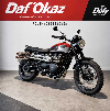 Aperçu Triumph 900 Scrambler 2016 vue 3/4 droite