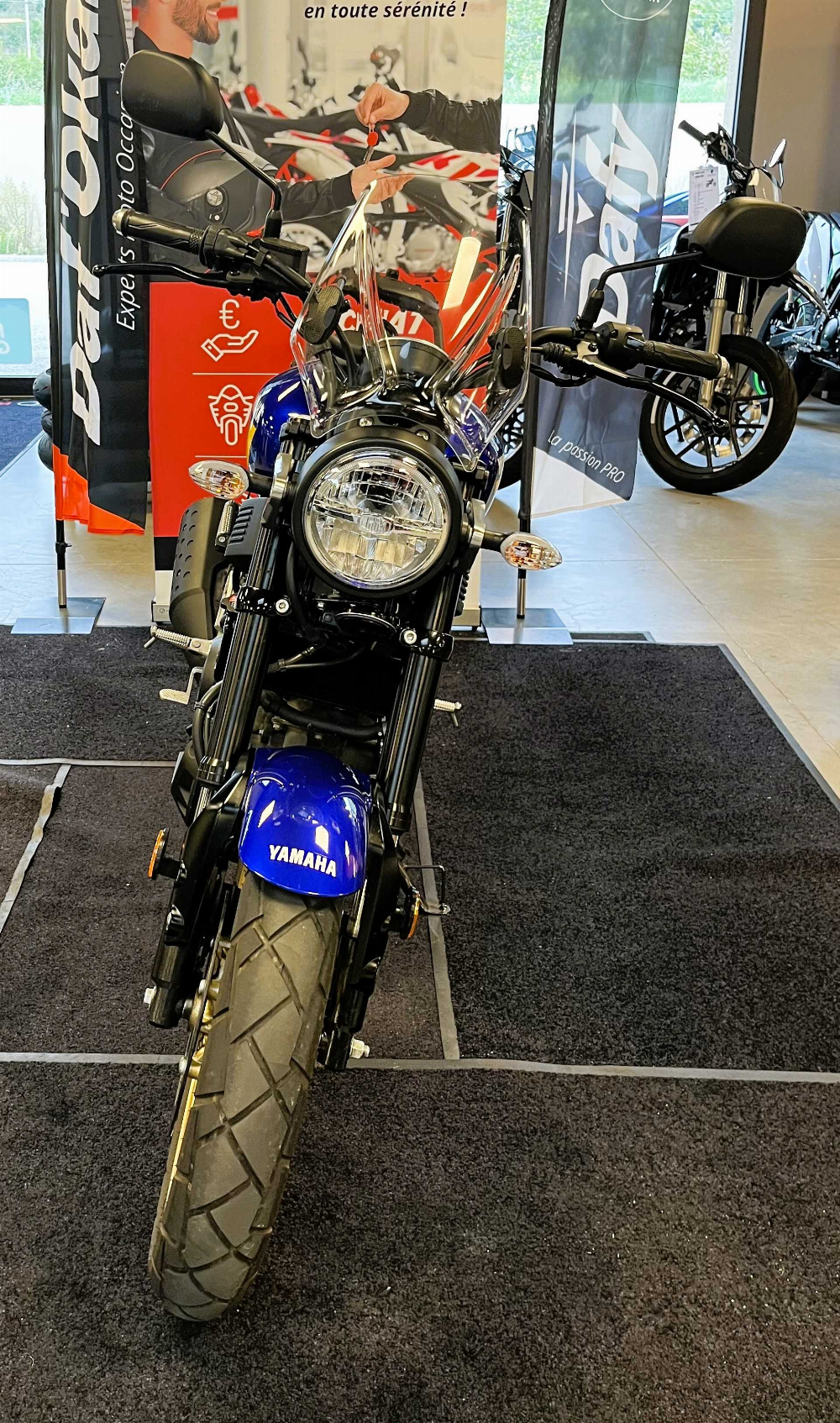 Yamaha XSR 125 2023 vue avant
