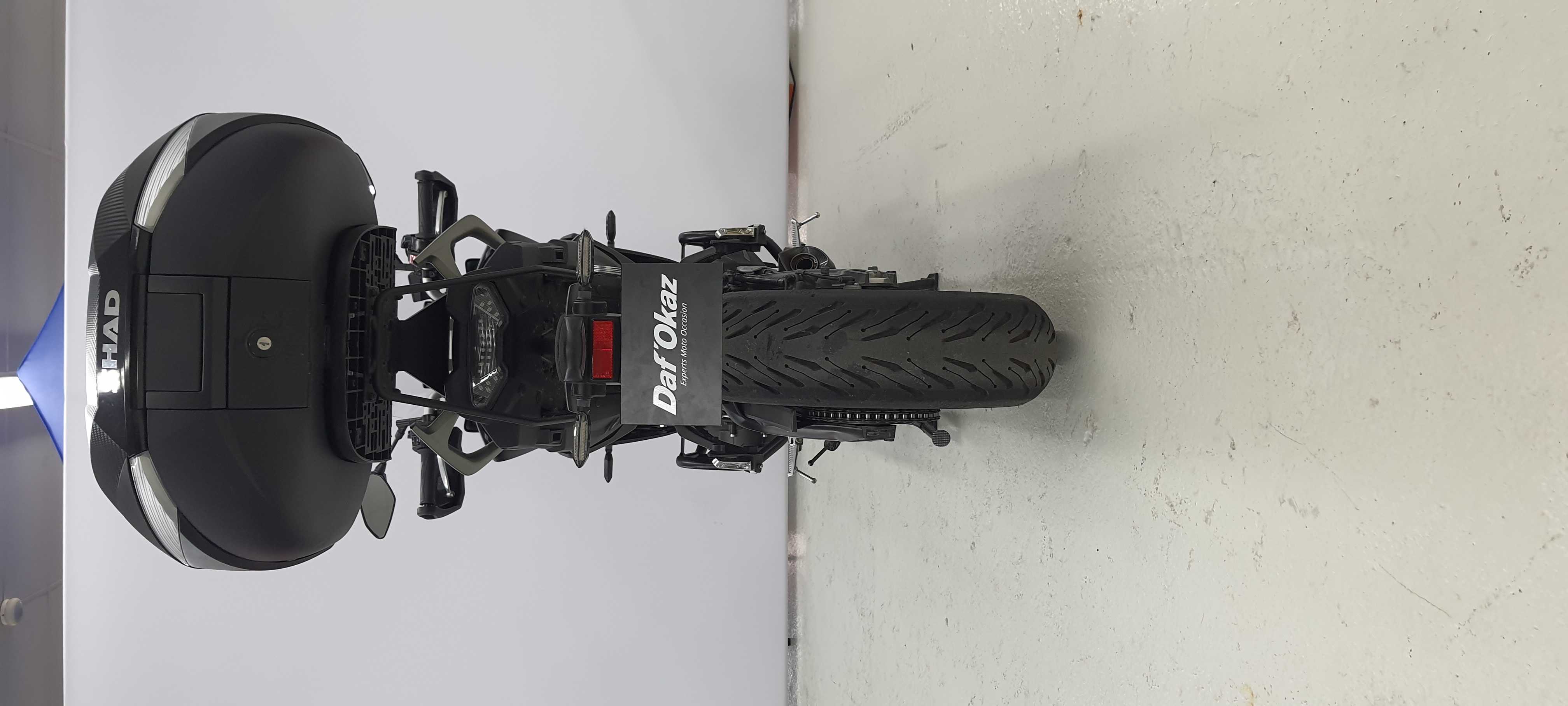 Yamaha Tracer 900 (MT09TRA) 2017 HD vue arrière