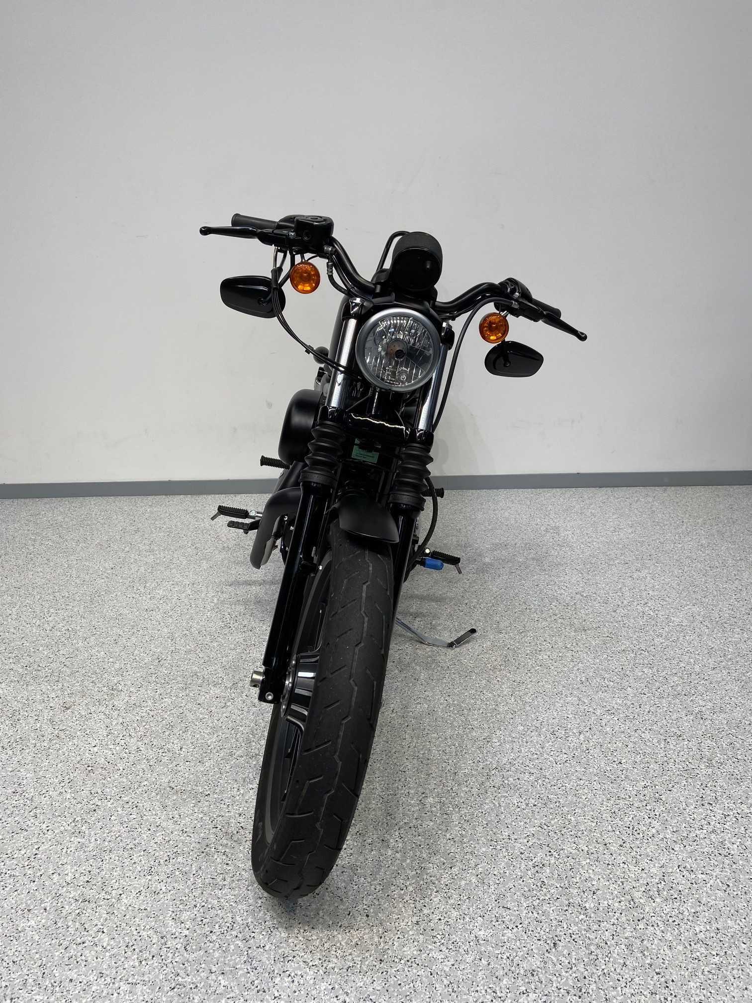 Harley-Davidson XL 2013 HD vue avant